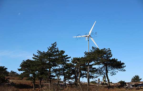 如何選址以優化小型風力發電機效能與安全？